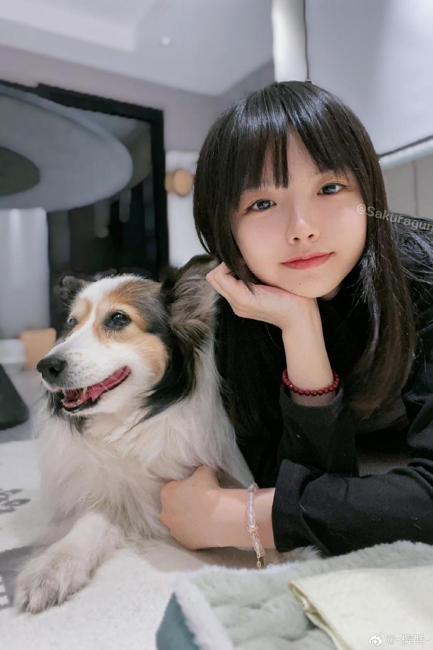 樱群视角姬:稀有图集美图尽收眼底 - 东妃桂
