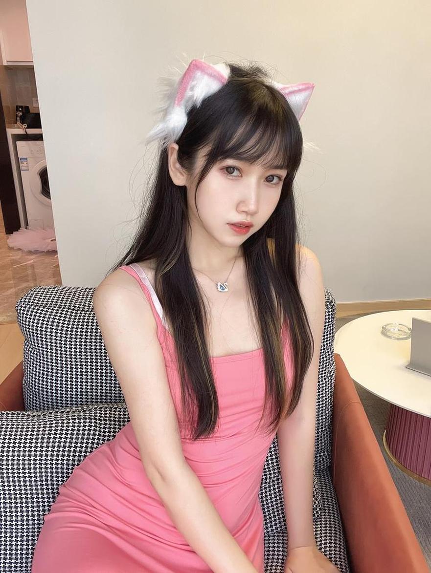 不呆猫绷带，高清摄影代表之作