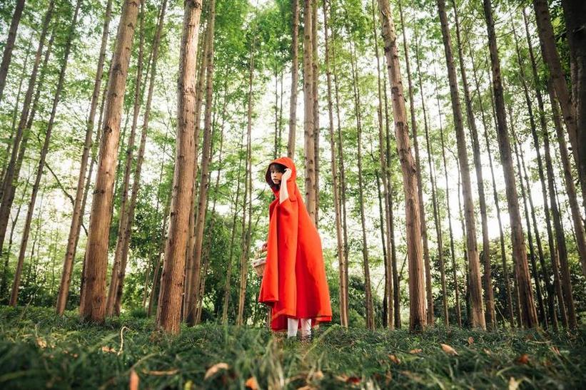 奈汐酱是哪里人？这个图包中的精选cos照片值得收藏