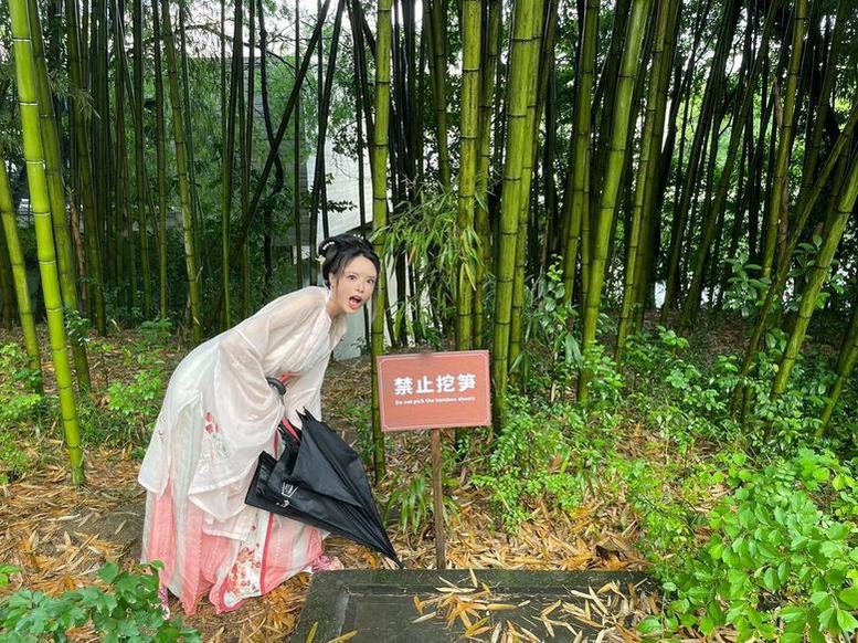 秋与柯基新图集在线阅读，我为你们准备了一份精致的分享。