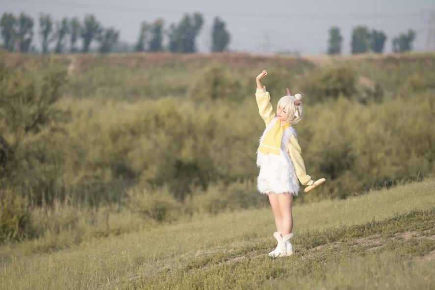 今天你的眼中只有蠢沫沫白精灵作品的美图